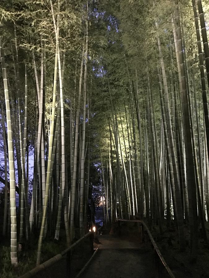 Sakuraya-Inn Ósaka Exteriér fotografie